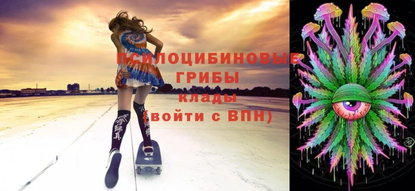 соль ск Аркадак