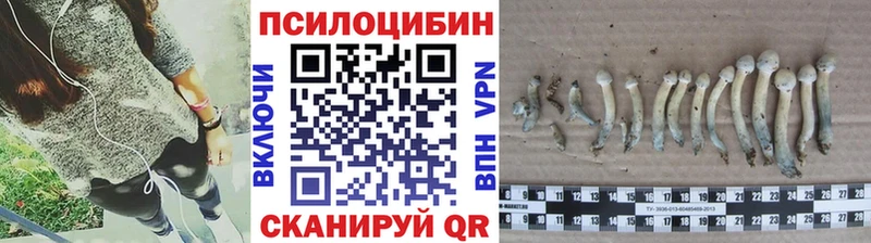 Псилоцибиновые грибы MAGIC MUSHROOMS  Железногорск 